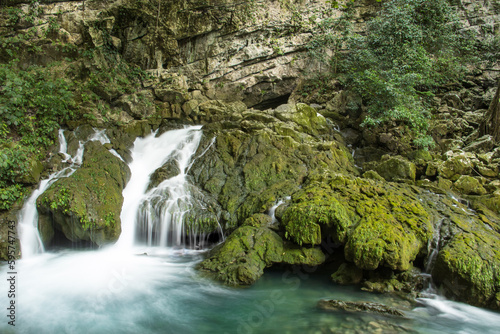 Nacimiento selvático