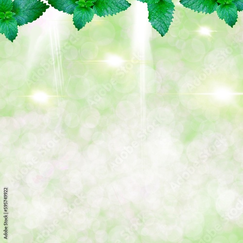 green leaves and bokeh light, illustration