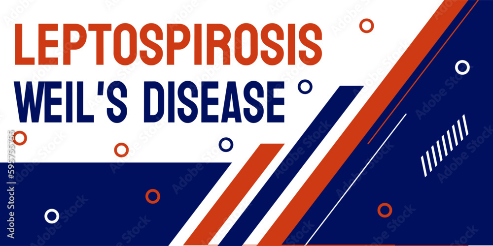 Leptospirosis Weil's disease Bacterial infection transmitted from