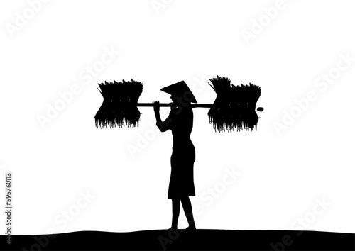 Career for Engineering,famer and teacher
