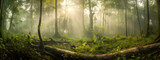 Green forest with sunrise sun rays and many trees, Generative Ai