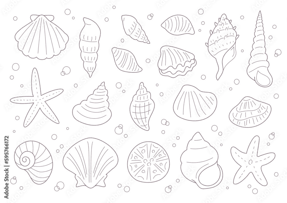 貝がらやヒトデの手書き線画ベクターイラスト