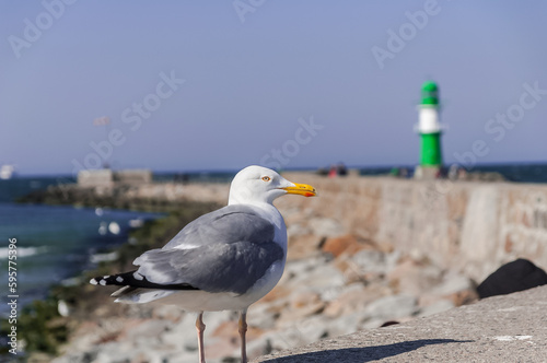 Urlaub an der Ostsee in Warnemünde