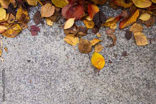 Fallen autumn leaves on the ground with copy space. Autumn background