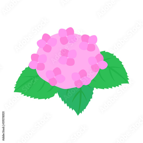 ピンク色の紫陽花。フラットなベクターイラスト。
Pink hydrangea. Flat designed vector illustration.