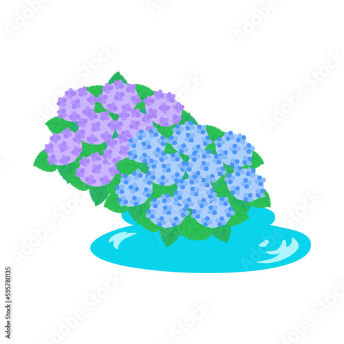 水たまりとアジサイ。フラットなベクターイラスト。
A puddle and hydrangeas. Flat designed vector illustration.