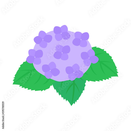 紫色の紫陽花。フラットなベクターイラスト。
Purple hydrangea. Flat designed vector illustration.