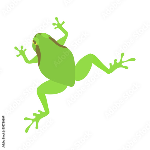 ジャンプするアマガエル。フラットなベクターイラスト。 A jumping tree frog. Flat designed vector illustration.