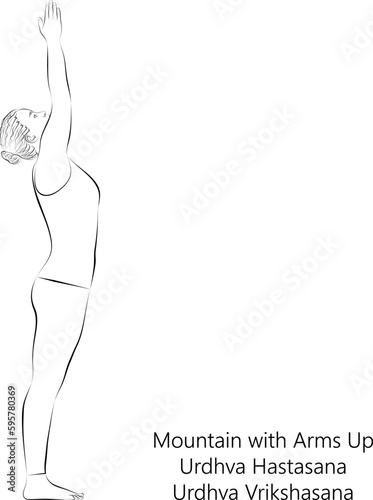 Young woman practicing yoga, doing Mountain with Arms Up. Upward Salute. Upward Tree. Extended Mountain. Urdhva Hastasana. Urdhva Vrikshasana. Vector illustration isolated on transparent background.