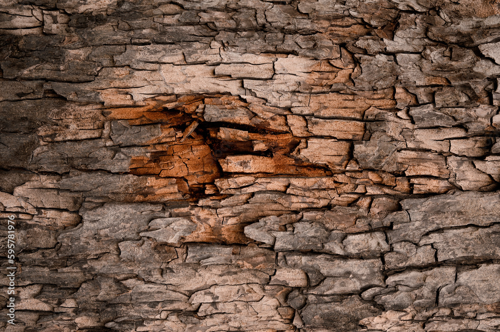 Tree rings old weathered wood pattern. brown bark wood texture. Embossed texture of the bark of oak. Horizontal photo of a tree bark texture. Relief creative texture of an old oak bark. home wall