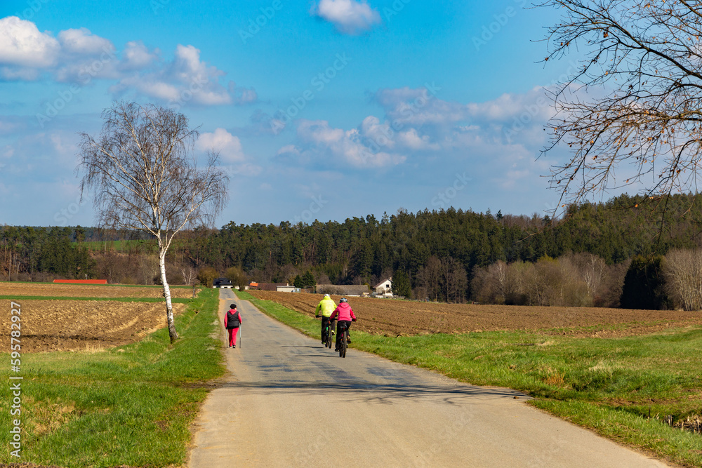 Obraz premium Rural road between agricultural fields, Czech Republic