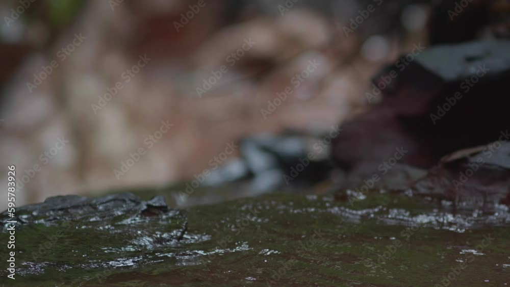 Peaceful stream water flowing rocky stones Peaceful stream water flowing rocky stones
