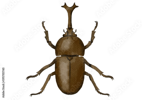 オスのカブトムシの上向きイラスト（水彩風）