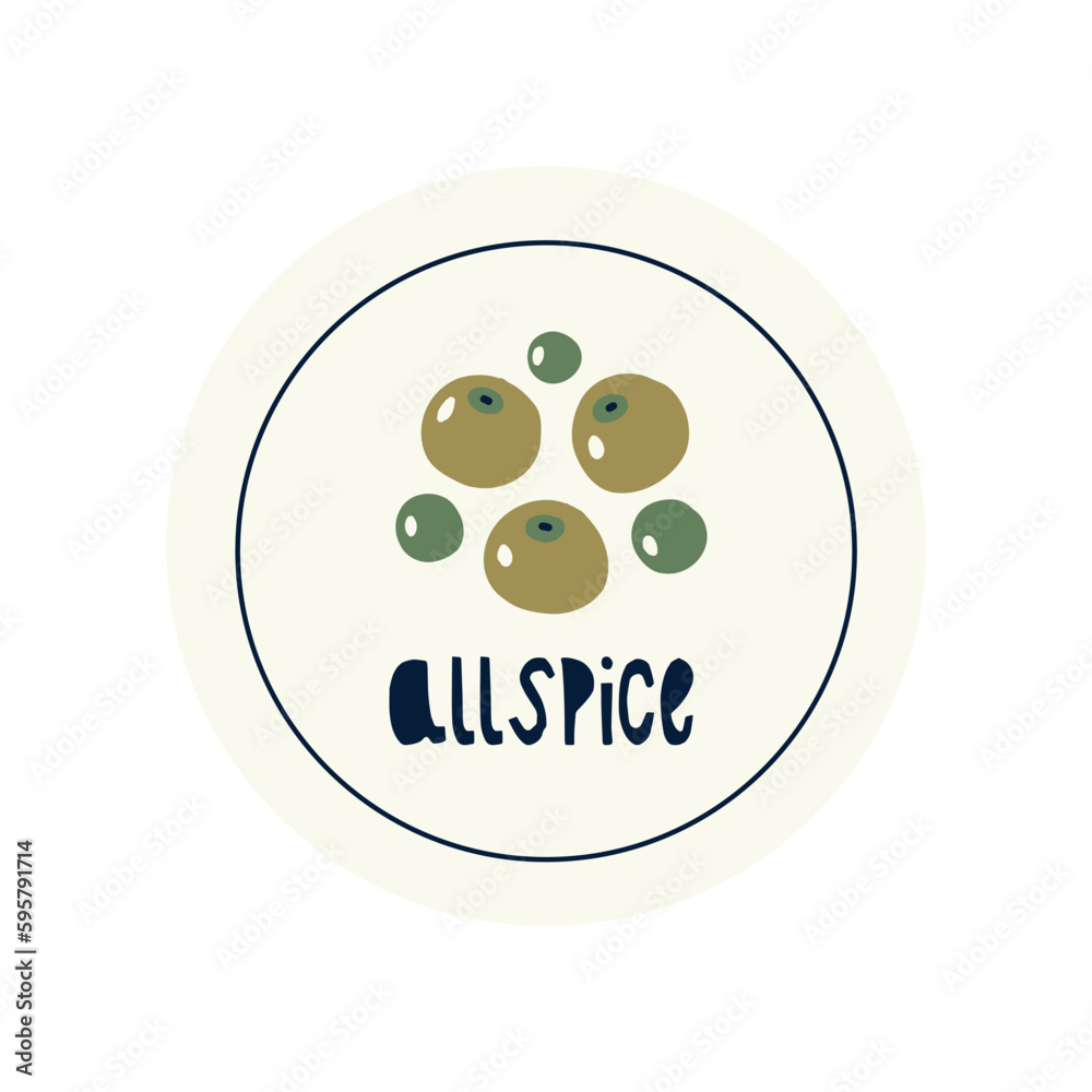 Fototapeta premium Hand Drawn circle illustrated label spice herb allspice. Flat vector nature botanical graphic design packaging sticker