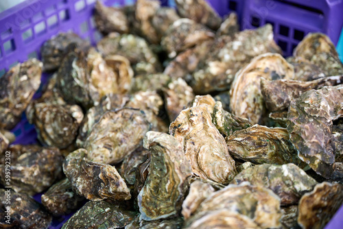 oysters on the market