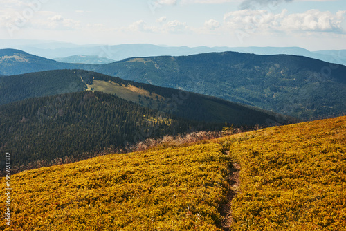 Fototapeta Naklejka Na Ścianę i Meble -  Mountain landscape. Scenic view of mountain peaks, slopes, hills and valleys covered with foggy slopes and valleys. Panoramic view