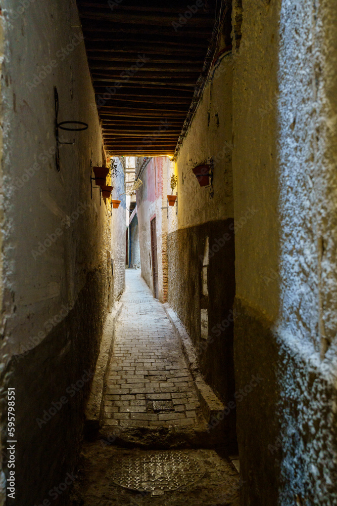 tourist and his suitcase in an alley, Fez, morocco, africa