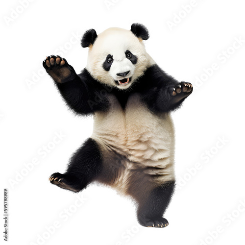 panda isolated on white background © purich