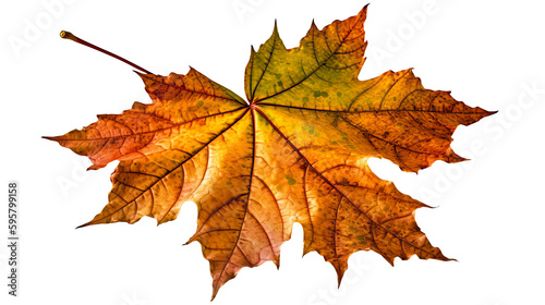 autumn leaves on transparent background png. Generative Ai