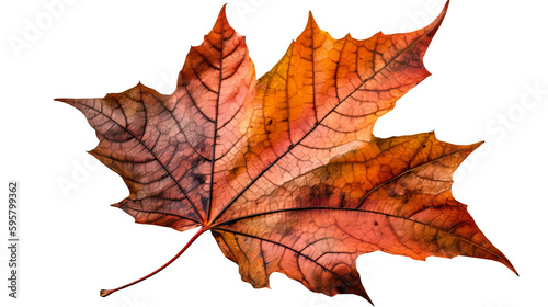 autumn leaves on transparent background png. Generative Ai