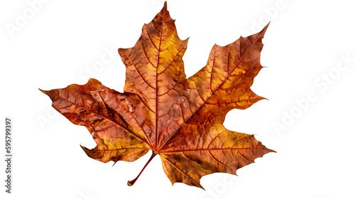 autumn leaves on transparent background png. Generative Ai