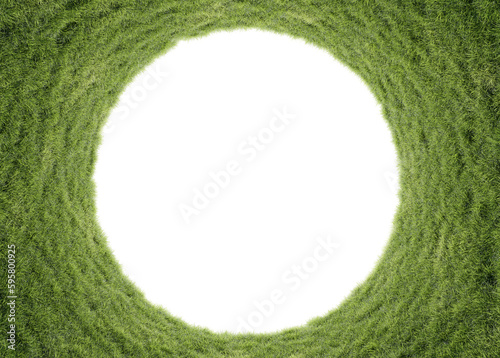 grass plants in vertical garden form on a transparent background.