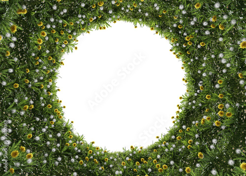 flower yellow and grass plants in vertical garden form on a transparent background.