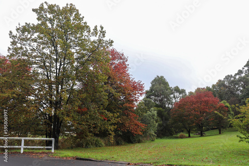 Beautiful view of Bowral Southern Highlands NSW  autumn photography
