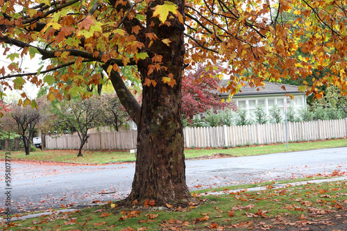 Beautiful view of Bowral Southern Highlands NSW, autumn photography