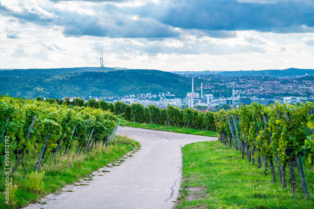 Germany, Stuttgart city arena industry houses skyline behind green vineyard with dark clouds dramatic sky panorama nature landscape springtime