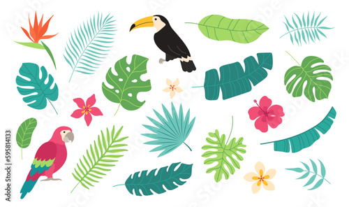 Set of tropical elements. Toucan, macaw, palm leaves, banana leaf, plumeria, hibiscus, bird of paradise . Vector flat cartoon illustration.