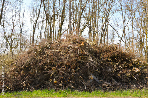 Close up of large pile of sticks branches. A bundle of dry sticks and branches.