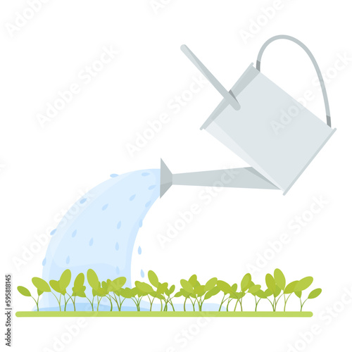 A metal watering can waters seedlings 