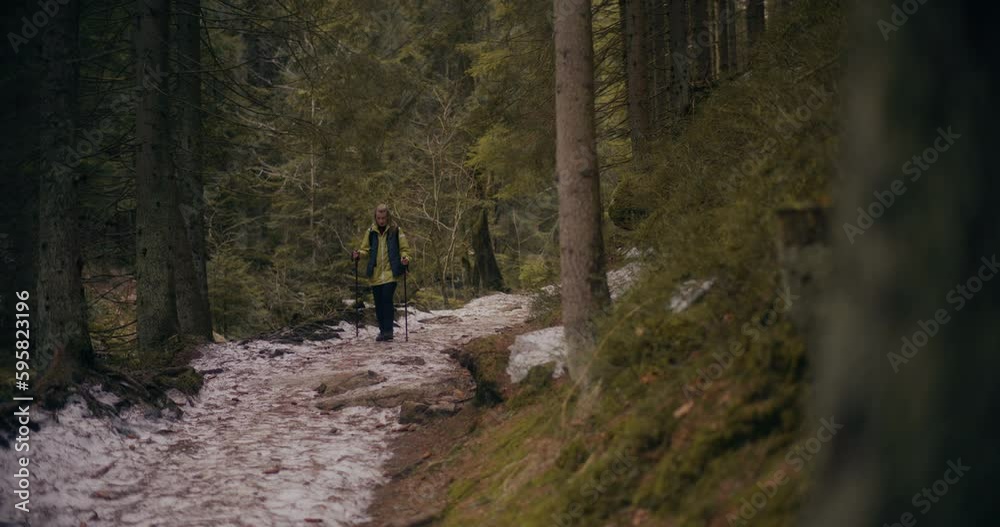 Woman Nordic Walking In Mountains Forest Woman Nordic Walking In Mountains Forest