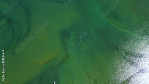 Aerial tilt up view revealing Wainui tropical sea bay in New Zealand photo