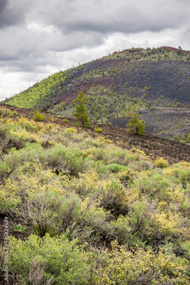 Sparse Landscape of Craters of the Moon National Monument and Preserve in Idaho Sparse Landscape of Craters of the Moon National Monument and Preserve in Idaho