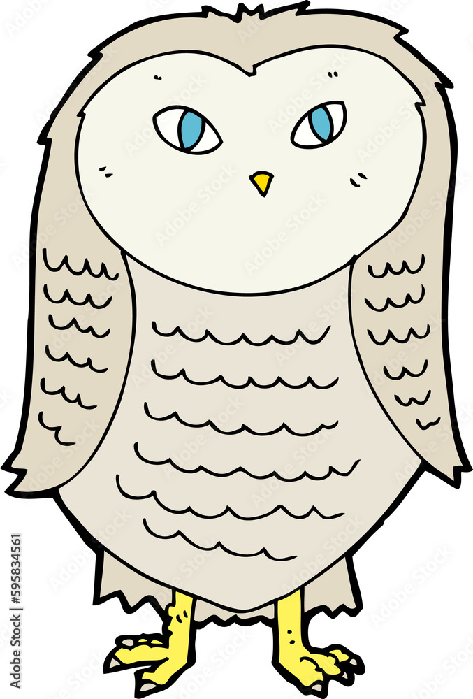 cartoon owl cartoon owl