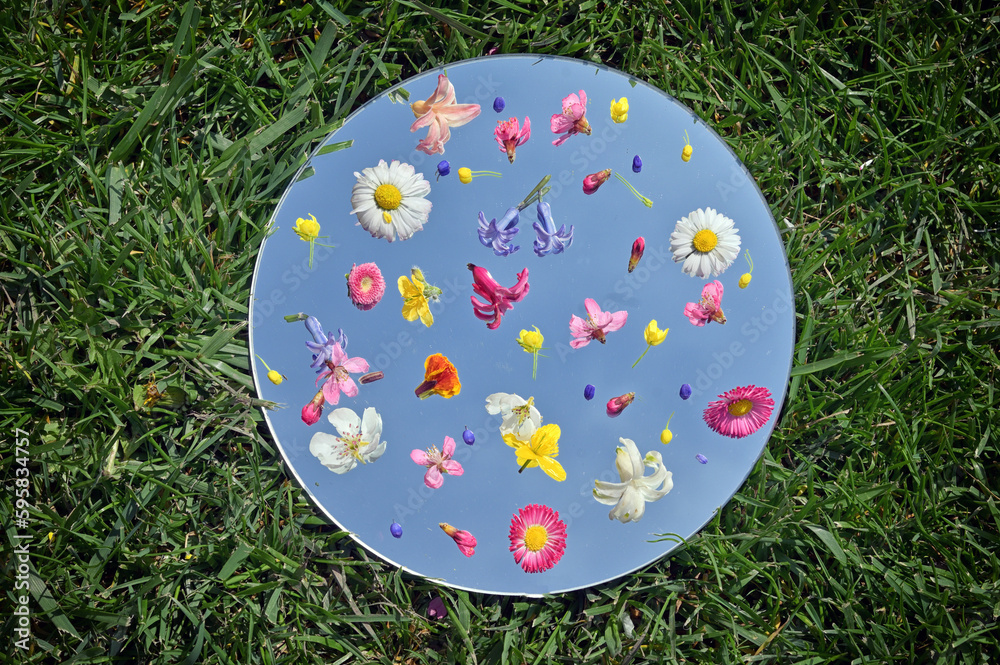 Seasonal Flowers On Mirror. Grass Background And Blue sky Reflected in Mirror
