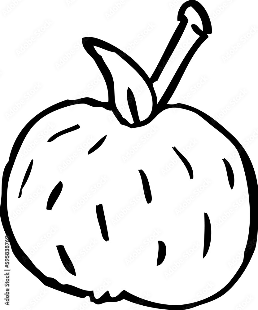 line drawing cartoon organic orange line drawing cartoon organic orange