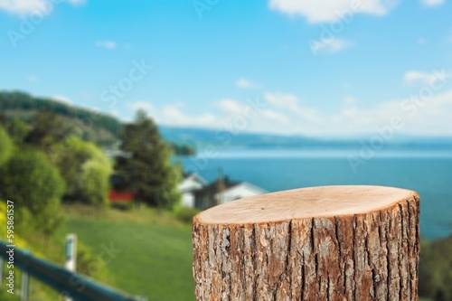 wood Podium tree trunk on nature background