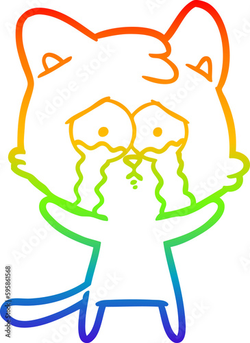 rainbow gradient line drawing of a cartoon crying cat