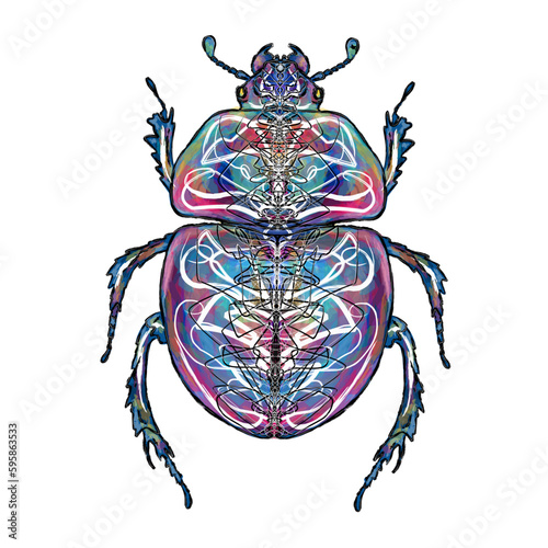scarab beetle with bright patterns, multi-colored, black torn stroke edge, symmetry, insect