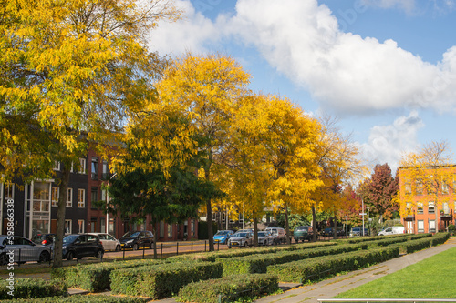 Autumn city landscape. A park with tall yellow and green trees in the city.