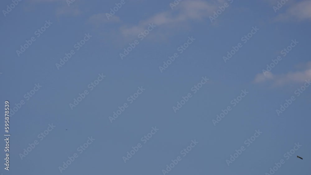 Colorful Kite Flying in the Blue Sky with Eagle and Text Space Colorful Kite Flying in the Blue Sky with Eagle and Text Space