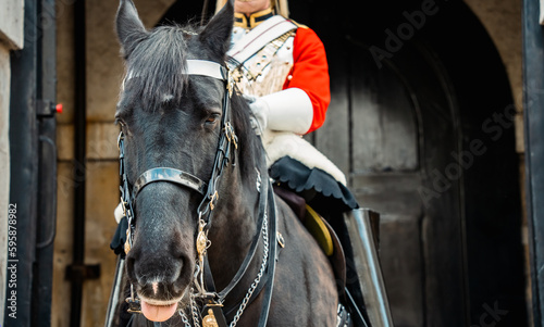 A horse carrying a Royal Horse Guard on sentry duty