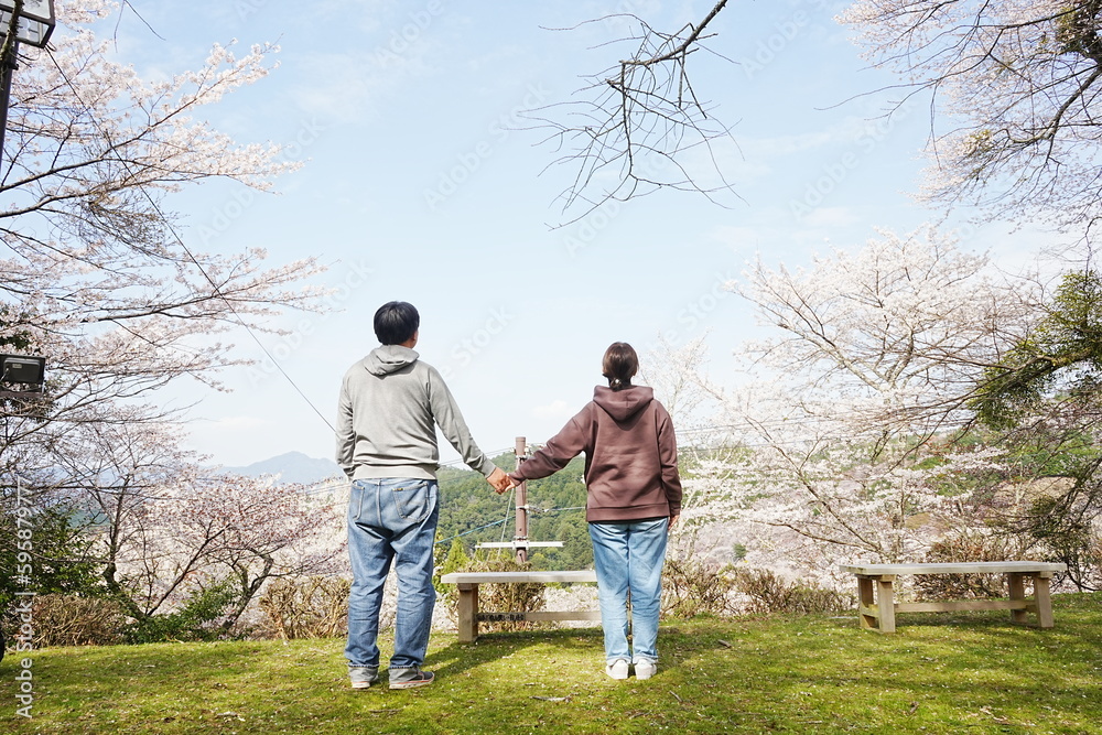 Couple Holding Hands over Pink Sakura or Cherry Blossoms Flower Background. Yoshino-yama or Mount Yoshino in Nara, Japan. Image of Spring Season - 日本 奈良 吉野山 桜 手をつなぐカップル Couple Holding Hands over Pink Sakura or Cherry Blossoms Flower Background. Yoshino-yama or Mount Yoshino in Nara, Japan. Image of Spring Season - 日本 奈良 吉野山 桜 手をつなぐカップル