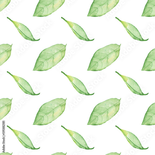 Pattern of watercolor green leaves elements.Botanical pattern solated on white background suitable for Wedding Invitation, save the date, thank you, or greeting card.