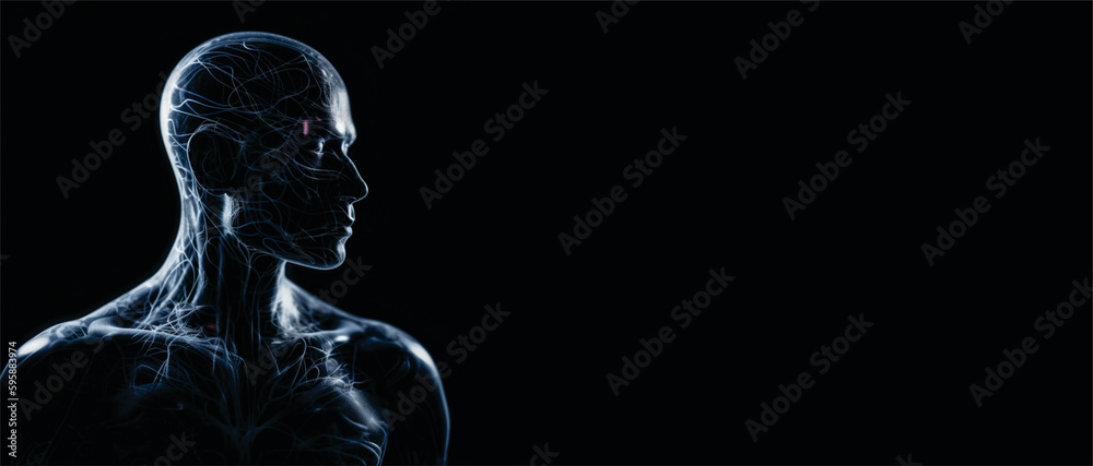 silhouette of a person silhouette of a person