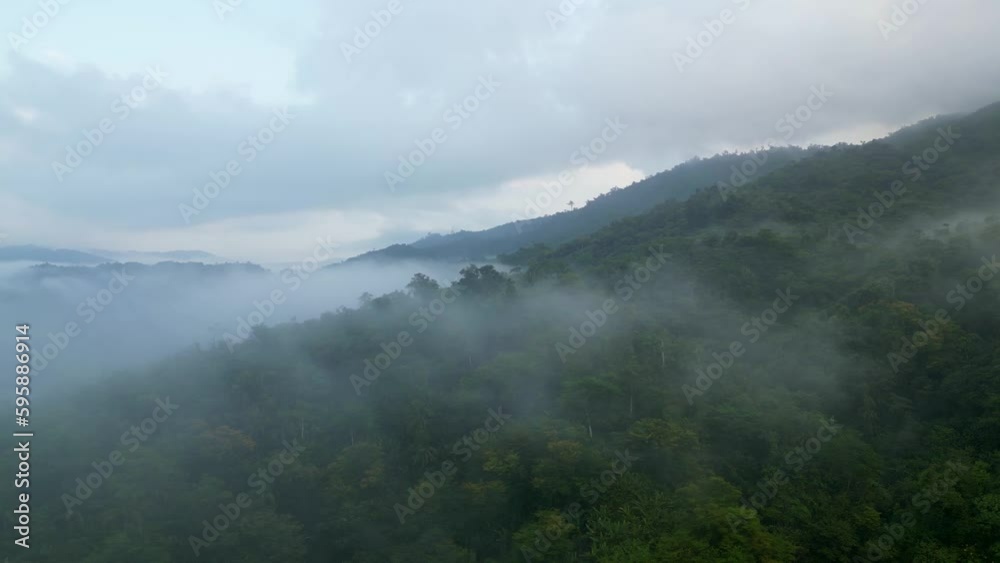 Foggy Clouds Over Dense Rainforest Over Mountains In The Province of Catanduanes, Philippines. Aerial Shot Foggy Clouds Over Dense Rainforest Over Mountains In The Province of Catanduanes, Philippines. Aerial Shot