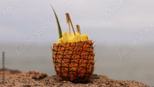 Camera Changing Focus From Beach To Pineapple. photo